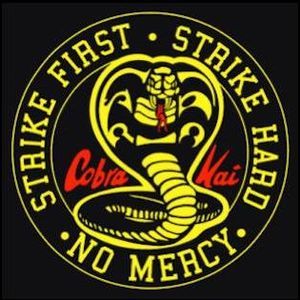 Meet your Posher, Joel